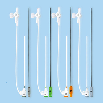 Femoral-Introducer-Set.jpg
