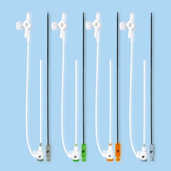 Introducer Set